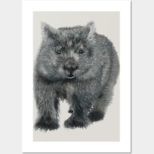 Wombat Sketch Posters and Art